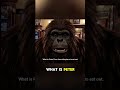 Bigfoot Vlog #jokes #shortscomedy