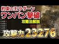 攻撃力2万超え!ラダーンワンパン 倒し方 攻略法解説【エルデンリング DLC】#約束の王ラダーン
