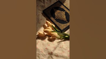 تلاوة جميلة من #علي_جابر || ❤️ #قرآن #اكسبلور #quran #explore #fyp #foryou #سورة_إبراهيم #آية #duet