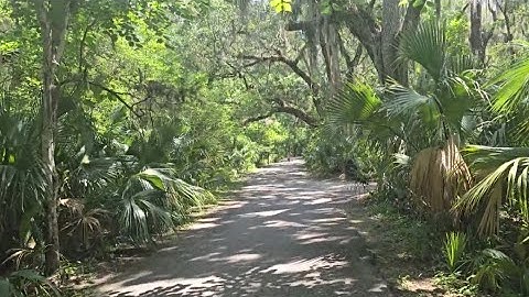 Gentle Breeze of Spirit