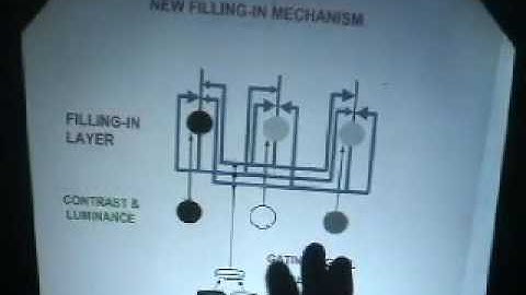 LINKING MIND TO BRAIN: A tutorial Lecture Series. Third Lecture, Part 2.