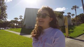 FAU FSLIFE - Summer 2017