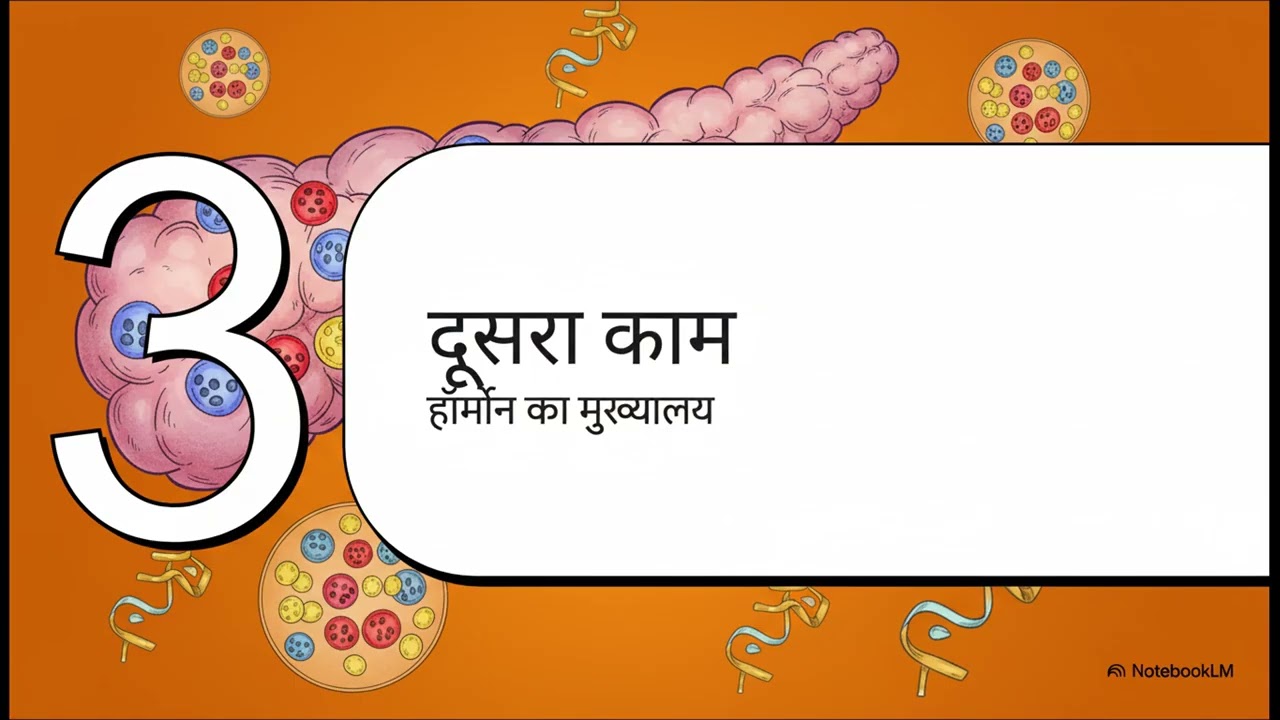 Pancreas: Structure, Functions & Hormones Part-12 