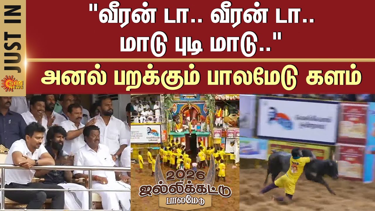 Palamedu Jallikattu -2026 | அனல் பறக்கும் களம் | Bulls | Players | Madurai