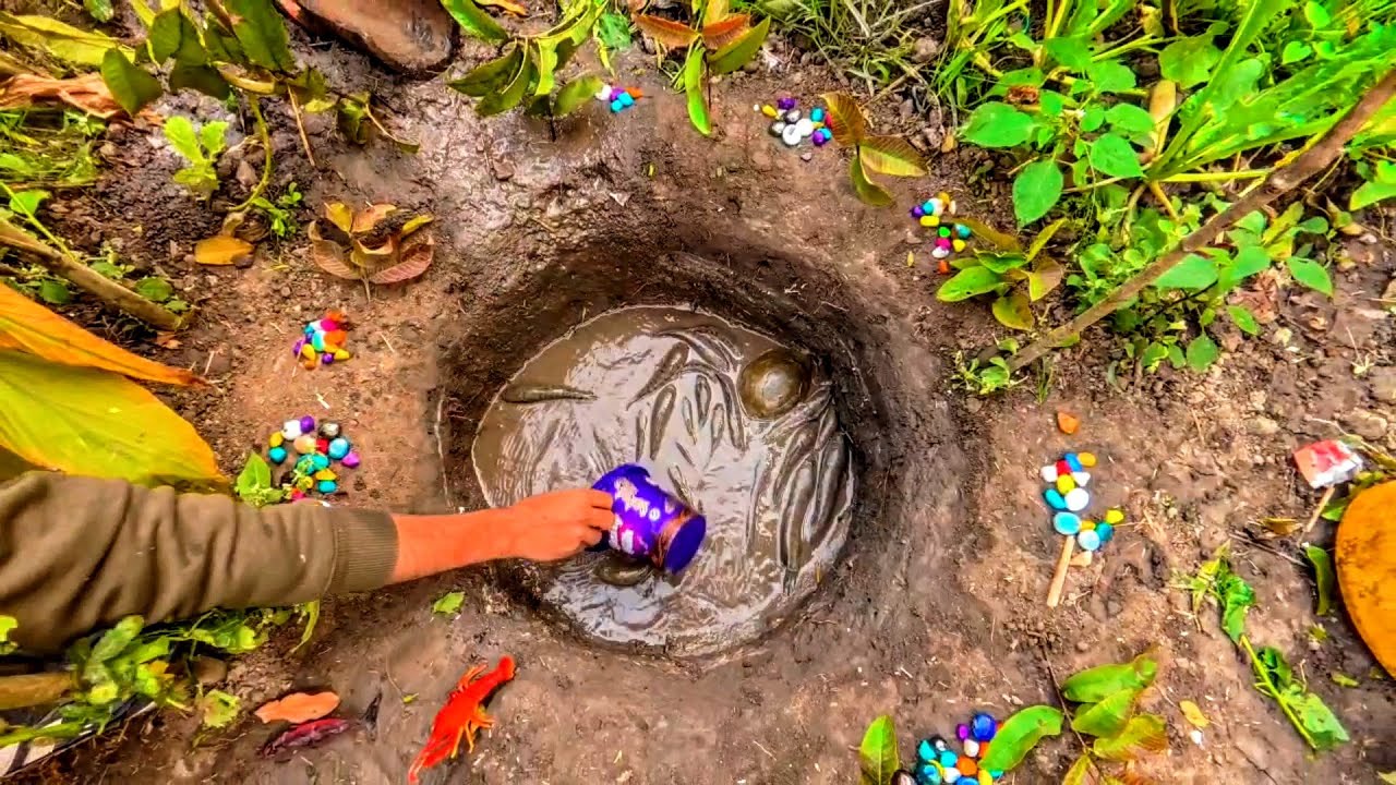 Caught Lots Of Fish And A Turtle From A Beautiful Pond 🐠