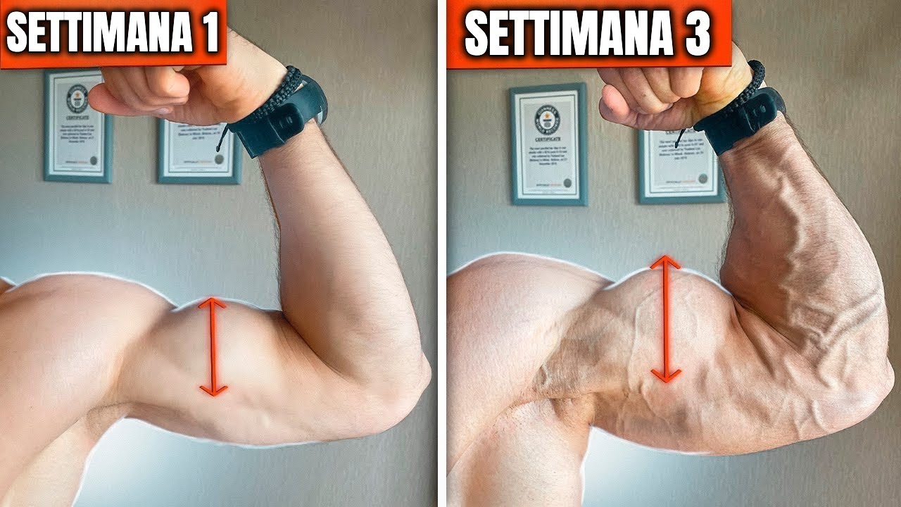 il CURL BILANCIERE è un Esercizio FONDAMENTALE - ecco perché devi averlo nella scheda