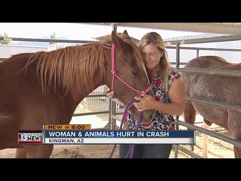 Woman survives Arizona crash with many animals she rescued