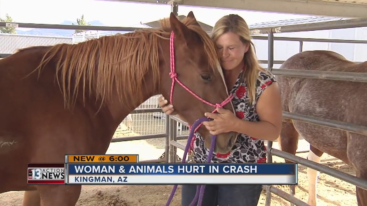 Woman survives Arizona crash with many animals she rescued - YouTube