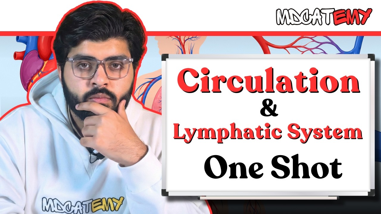 Circulation and Lymphatic System Full Chapter One shot | MDCAT 2026 Biology by Hayan Khan