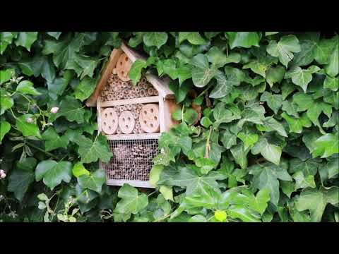 Comment accueillir la biodiversité au jardin - Domaine de la Vaumane (Drôme)