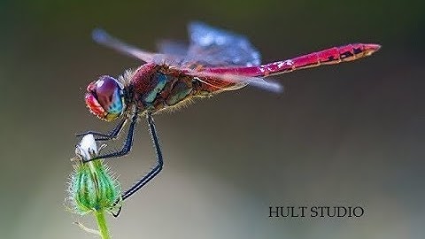 EleVen ~ HULT Studio ~ Abstract