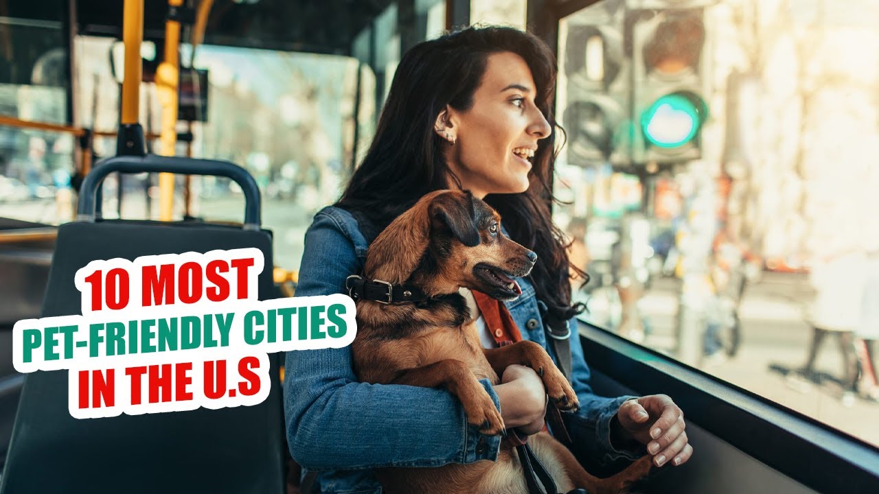 Top 10 Most Pet Friendly Cities In The U.S