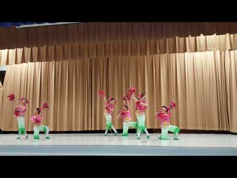 采红菱 (CES international night)