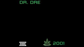 Famous Dr. Dre ft Mary J. Blige & Rell - The Message (Bass Boosted) Net Worth