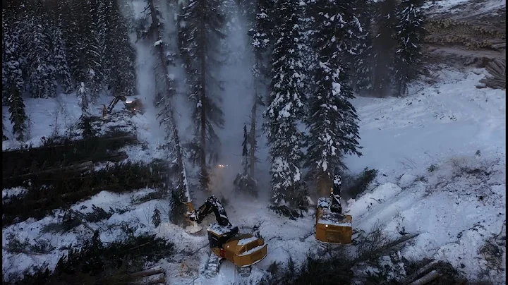 Bublitz Logging II with Stones Bay Holdings