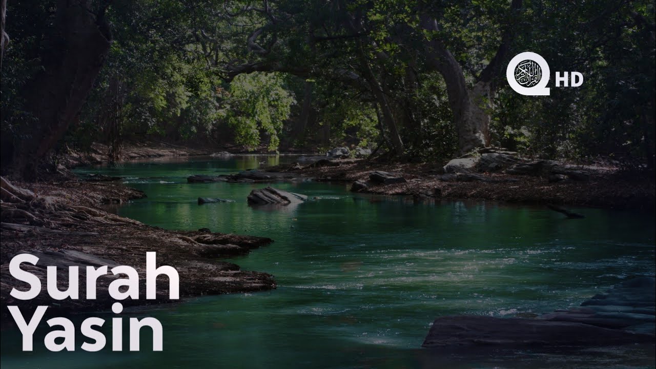 Surah Yasin  - سالم الرويلي