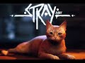 Stray #Бродить #Прохождение #2