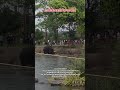 ಕಂಜನ್ &amp; ಜಯಮಾರ್ತಾಂಡ ಎನ್ರೋ ಬಂತು ನಿಮಗೆ 🥺😒 #elephant #shortvideo #shortsfeed #shortsviral #viralshorts