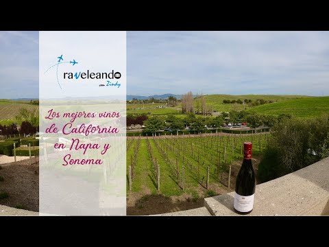 Vídeo: Sonoma O Napa: El Mejor Viaje De Vinos Del Norte De California Para Principiantes