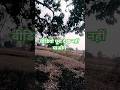 वीडियो पूरा नहीं देख सकते #challenge #funny #viralvideo #channel #sort #hinder #viral #sortvideo