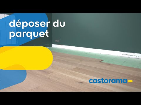 Vidéo: Comment Déposer Une Demande Auprès Du Parquet