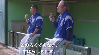 青春の影