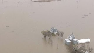 Mississippi River crests 12 feet above flood stage south of St. Louis