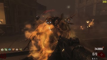 Call of Duty  Black Ops II Zombies on PC Without Aim Assist