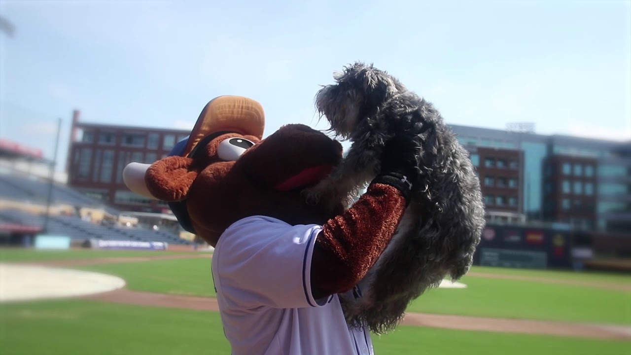 2018 - Wool E. Gets a Dog