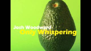 Video thumbnail of "Josh Woodward - Goodbye to Spring"