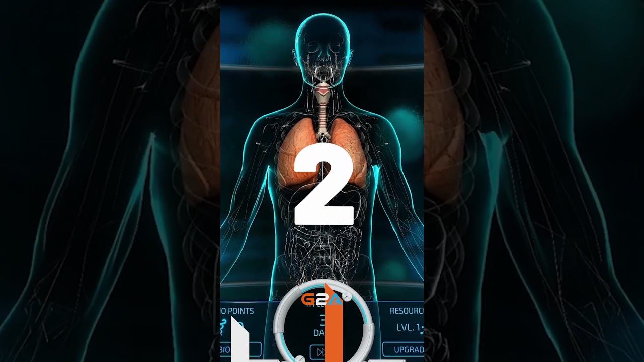 Top 5 Best Medical Simulators for PC 