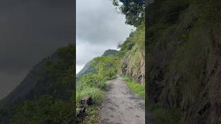 ഈ റോഡിലൂടെ യാത്ര ചെയ്തിട്ടുണ്ടോ? 🌴 Hidden Road Beauty ✨