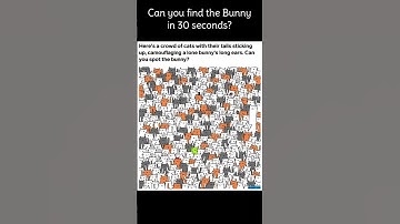 Find the hidden objects in this picture. Fun puzzles to play. #shorts