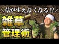 【逆転の発想】自然農法家がすすめる草と闘わない草管理方法