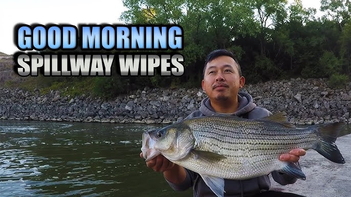 My favorite lures for white bass and wipers below spillways! 