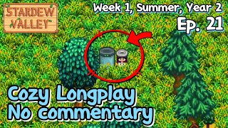 Stardew Valley | Chill gameplay for study, work or sleep | No commentary [Week 1 of Summer, Year 2]