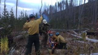 Emergency Longline Extraction on the Freezeout Ridge Fire