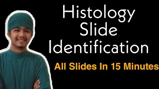 Histology Slide Identification Tricks | All Histology Slides In 15 Minutes | Easy Histology| Viva screenshot 4