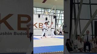 #Knockout - Davy Brand (Netherlands) | The 6th WKB European #Kyokushin #Karate Championship Profile