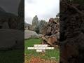Nan Lian Garden #rocks #beautiful #garden #nanliangarden #shortsviral