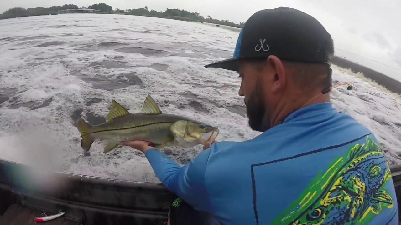 FRESHWATER SNOOK FISHING YouTube