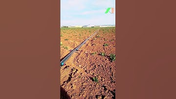 Dây tưới nhỏ giọt, Dây tưới phun mưa, Béc tưới xoay, Hệ thống tưới tự động Tháp Xanh