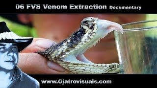 06 Fvs Venom Extraction Remastered