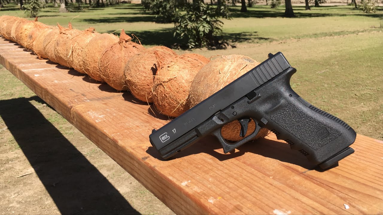 How Many Coconuts Per Tree Per Year