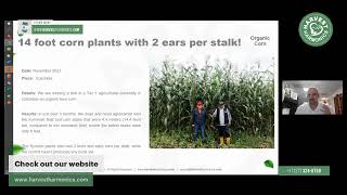 14 feet corn plants with two ears per stalk with Kyminasi Plant Booster
