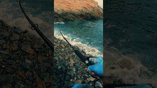 Ma-ra-vi-llo-so... excelente pesca de lenguado 😎  #arica #pesca #chile #fishing #shorts