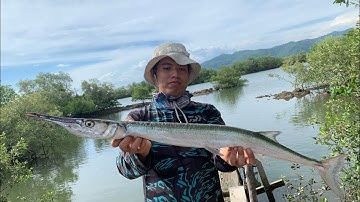 Câu cá chẽm Long Sơn , BRVT - Hôm nay không ai bị móm