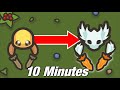 Tamingio  from 0 to max age in 10 minutes with daggers uncut  how to level up fast