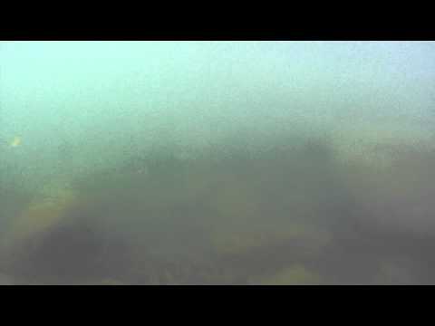 camera iphone 8 plus apk GOPR0220.MP4