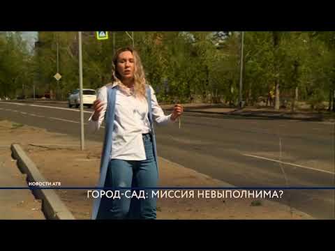 Спецрепортаж. Озеленение.